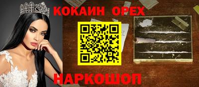 МДПВ Кингисепп