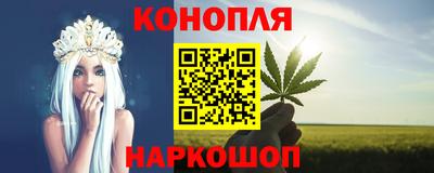 МДПВ Кингисепп