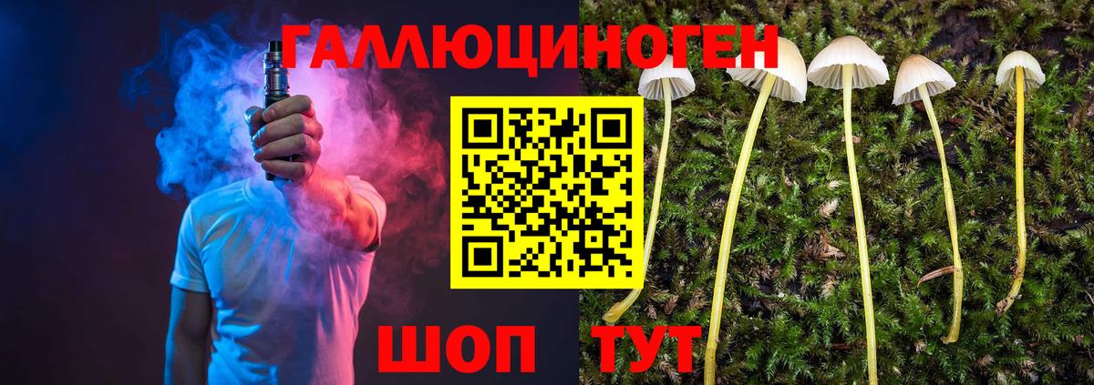 купить   Галлюциногенные грибы Psilocybine cubensis  Дальнегорск  Вход с VPN  Галлюциногенные грибы мицелий 